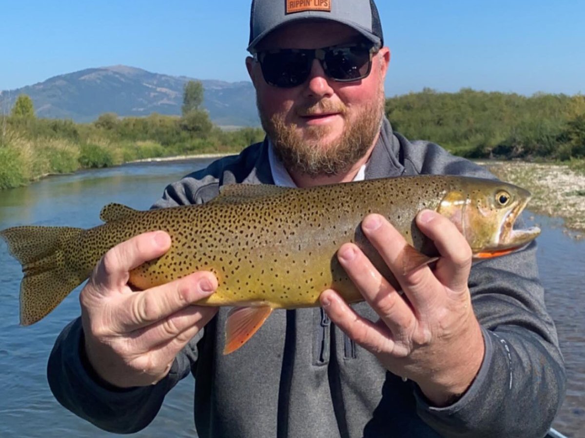 Jackson Hole Fly Fishing Trips - All You Need to Know BEFORE You Go (2024)