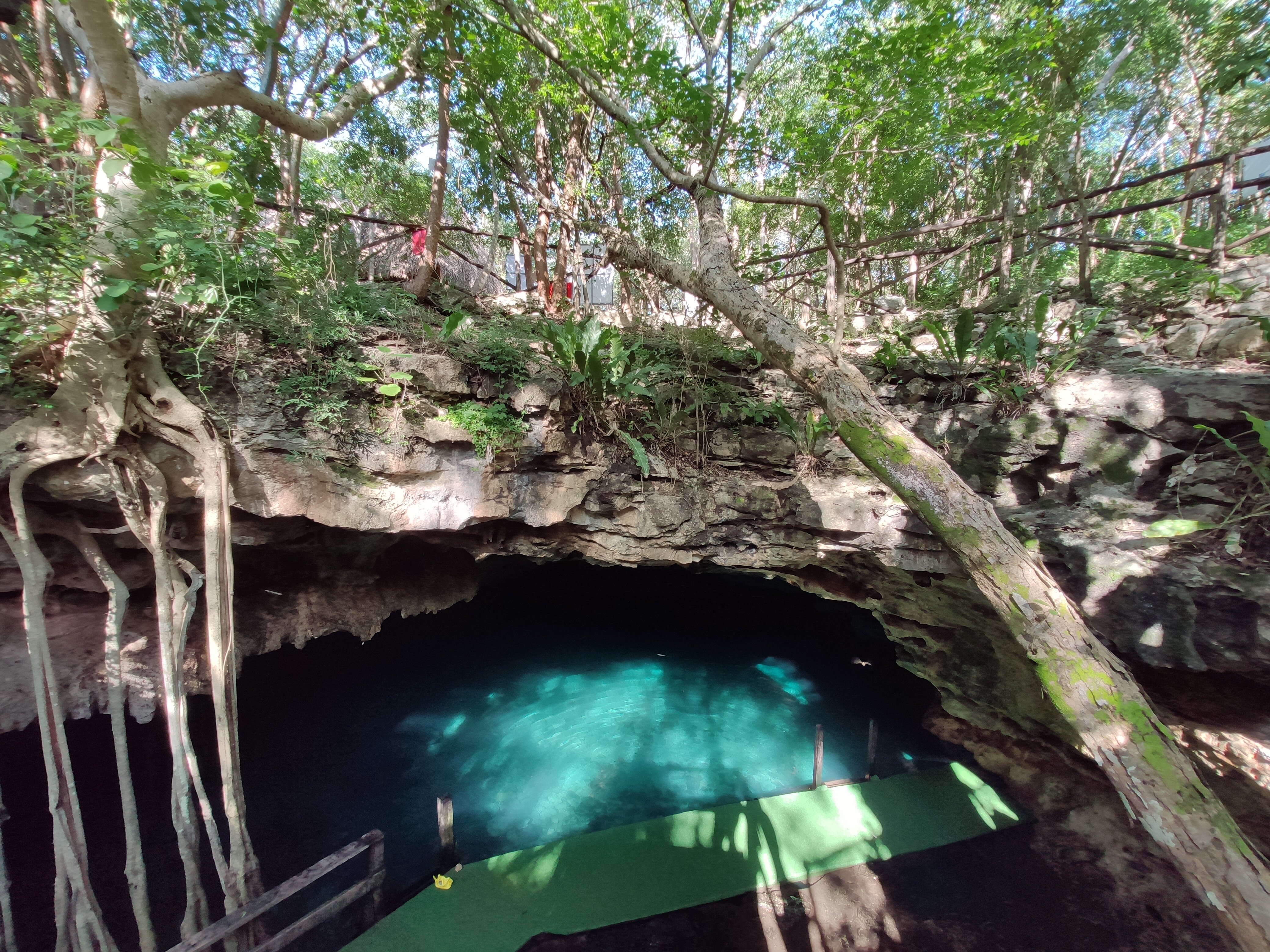 CENOTES X' BATÚN Y DZOMBAKAL. (Uman): Tutto Quello Che C'è Da Sapere