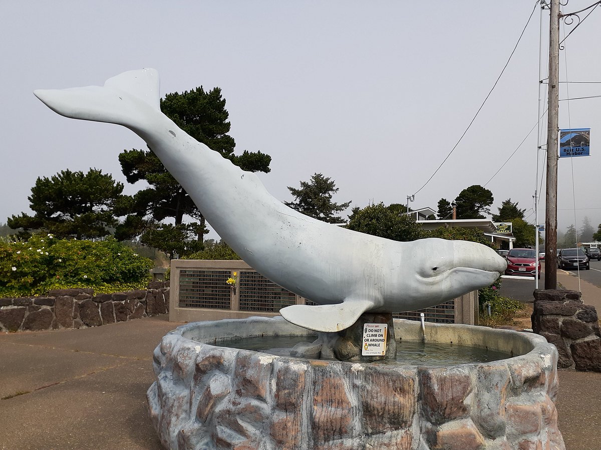 whale watching tour depoe bay oregon
