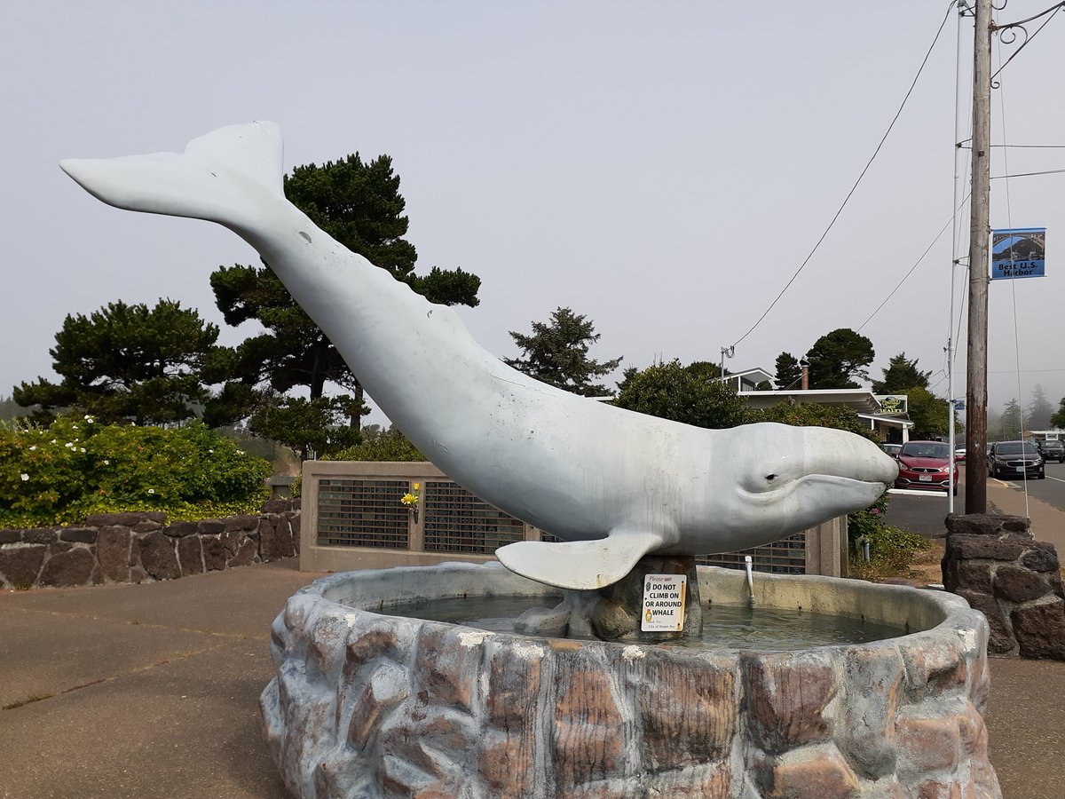 The Whale Watching Center (Depoe Bay) All You Need to Know BEFORE You Go