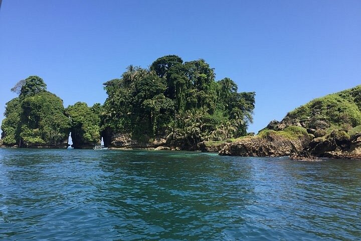 Speed Boat tour to Mangrove Point -Starfish Beach -Bocas del Drago and Birds Island image