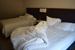 Room & Suite