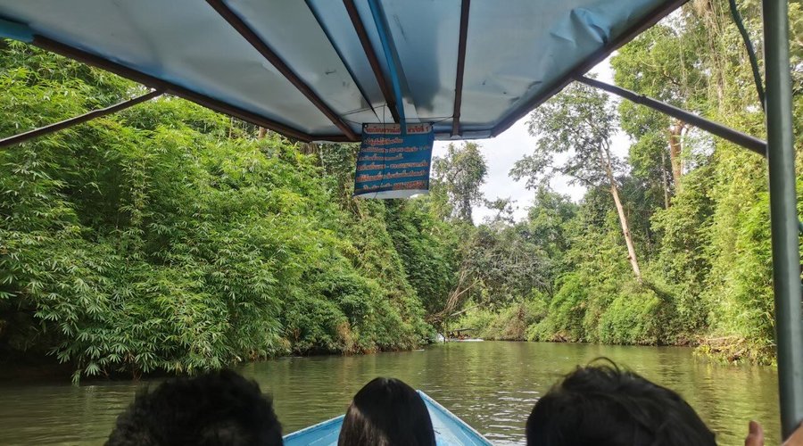 Sailing into the abundant jungle to the waterfall.
