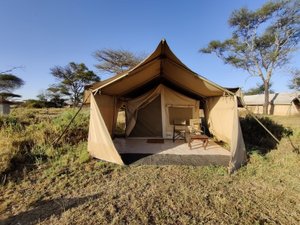 PEMBEZONI CAMP (SEASONAL CAMP) - Campground Reviews (Serengeti National  Park, Tanzania)