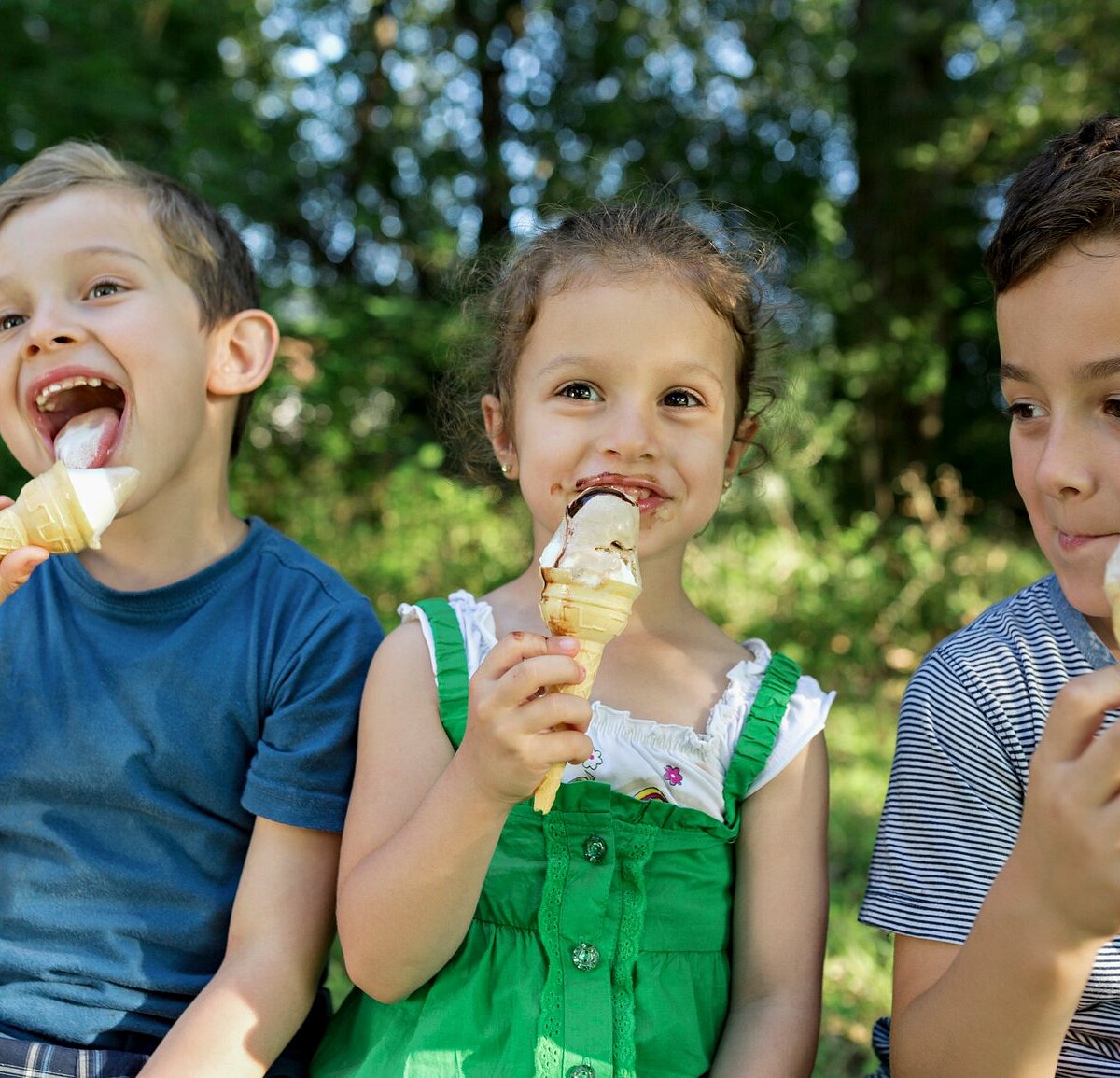 dairyland-farm-park-dairyland-farm-park