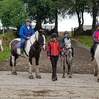 Cholwell Riding Stables (Mary Tavy) - All You Need to Know BEFORE You Go