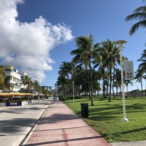 The 5th Avenue of Miami Beach - Review of Collins Avenue, Miami Beach, FL -  Tripadvisor