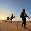 Love morocco Desert - Day Tours