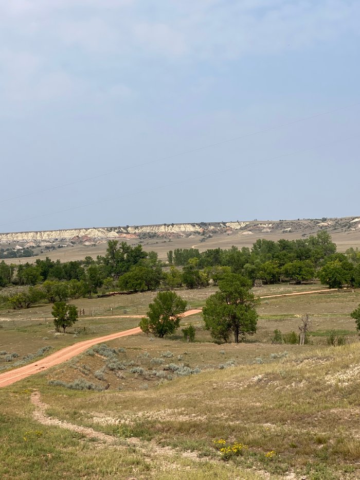 LOGGING CAMP RANCH (Bowman) - Ranch Reviews & Photos - Tripadvisor