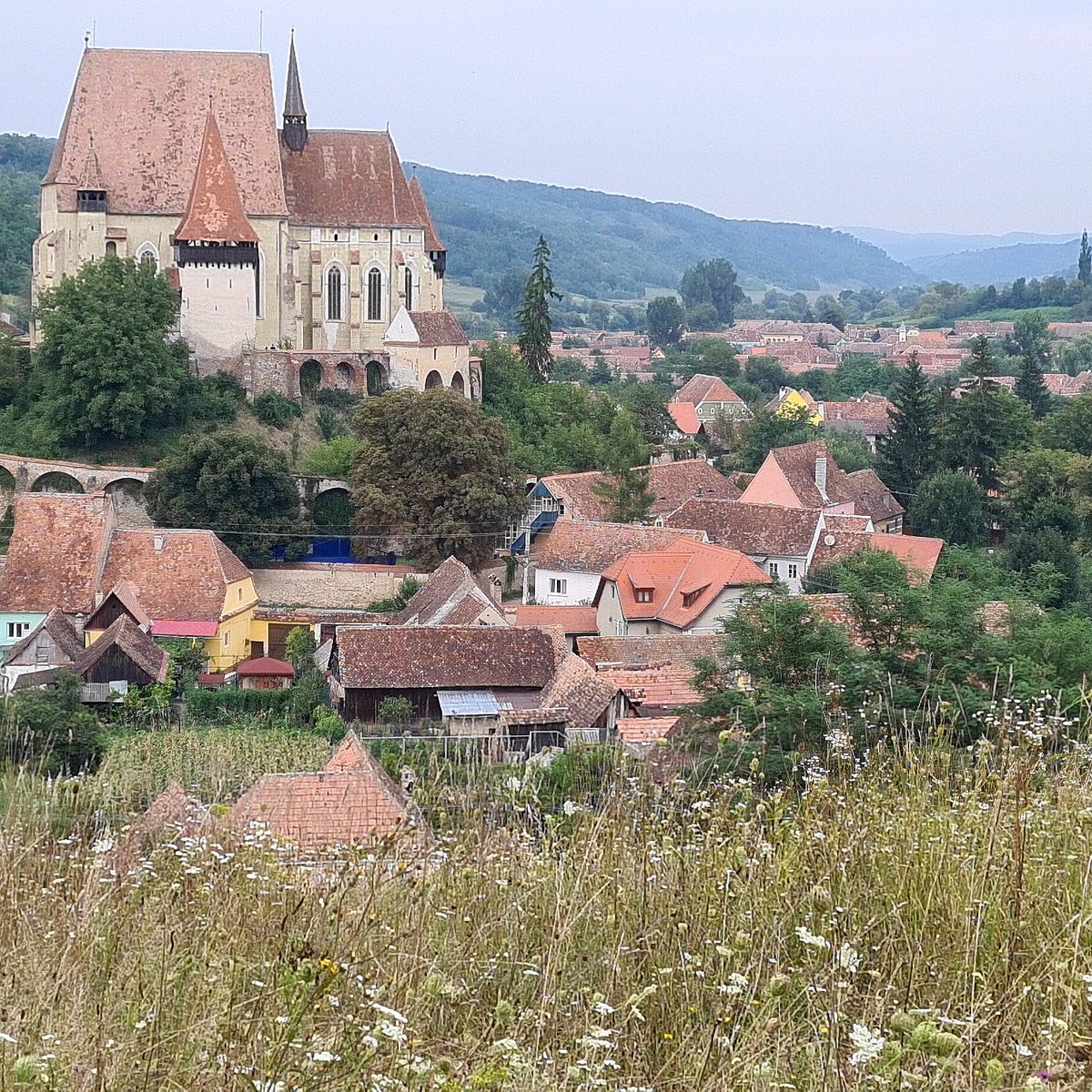 Тыргу муреш. Targu mures Румыния. Река Муреш Румыния. Тыргу-Муреш достопримечательности.