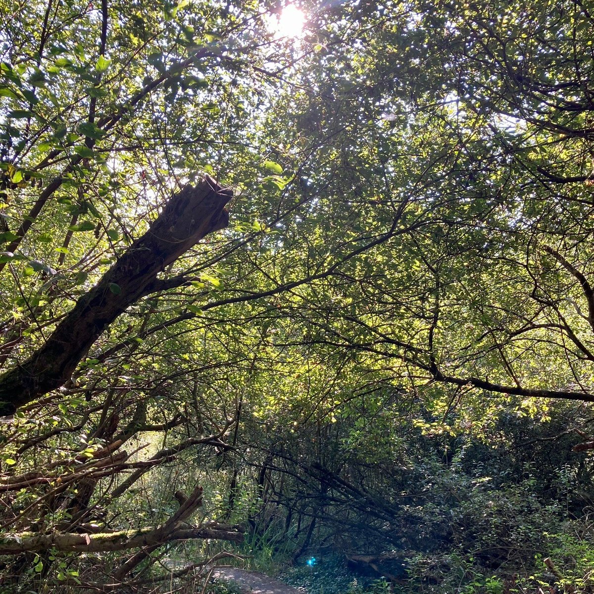 MAGOR MARSH (2024) All You Need to Know BEFORE You Go (with Photos)