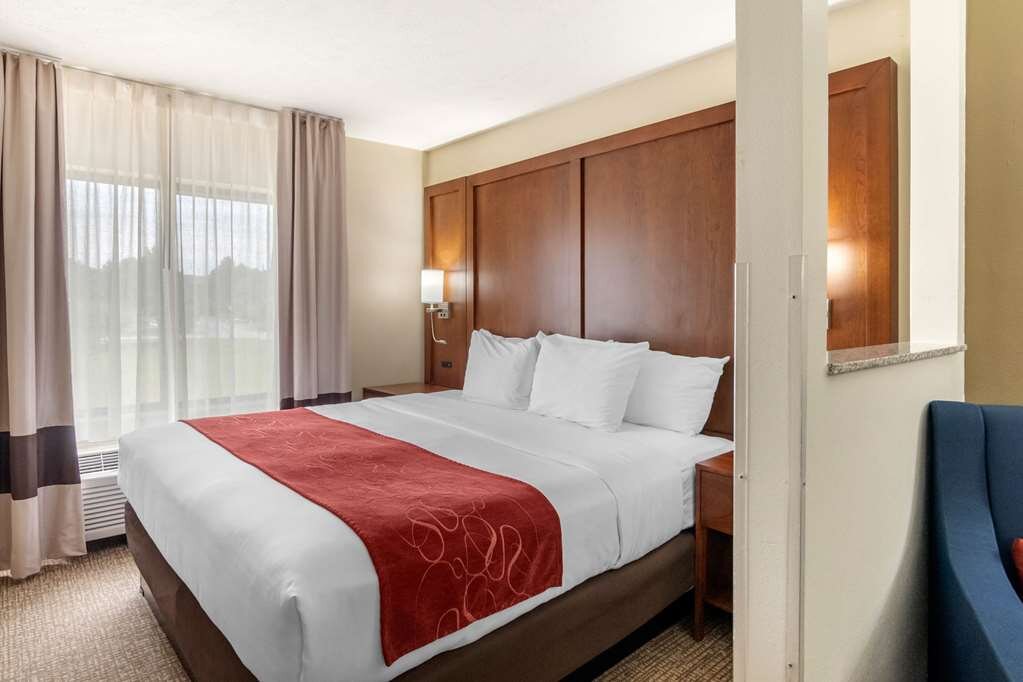 Hotel photo 42 of Comfort Suites Speedway - Kansas City.