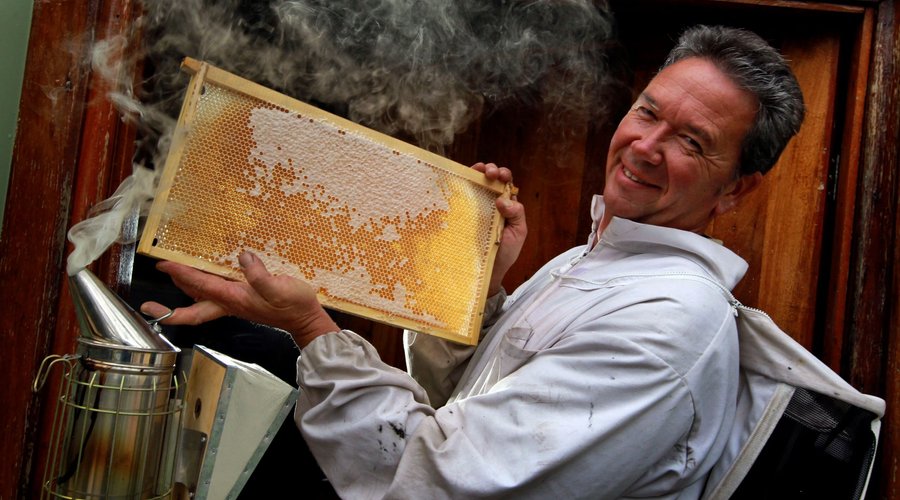So much more than a simple shop, The House of Honey is a tribute to all things bees and honey. We care for our bees and lovingly craft delicious honey varieties (you’ll be surprised at how different they all taste!), as well as beeswax candles, gifts, beauty products, tourist experiences, and more, right here in WA.