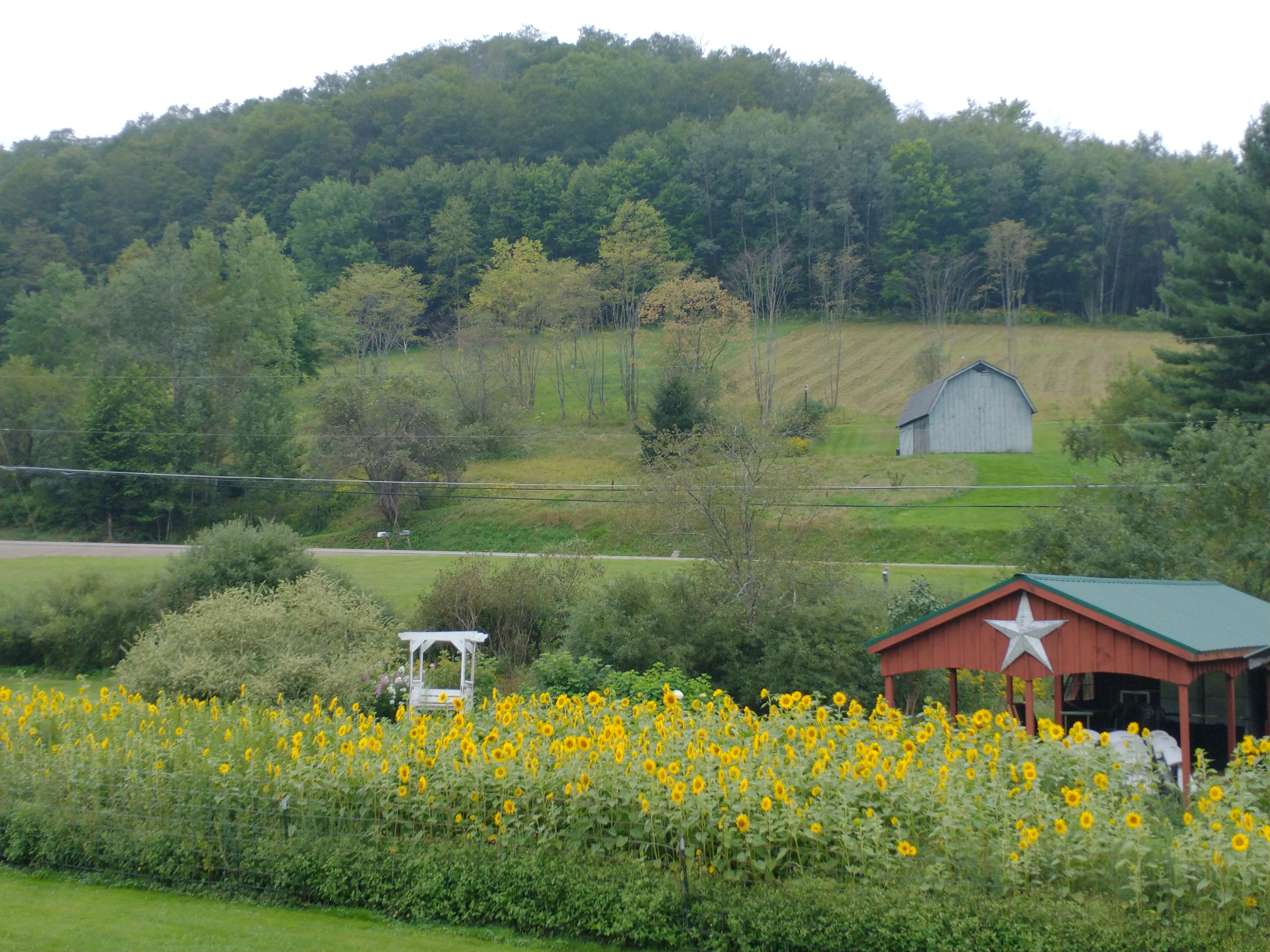 FROSTY HOLLOW BED AND BREAKFAST - Updated 2024 B&B Reviews (Coudersport ...