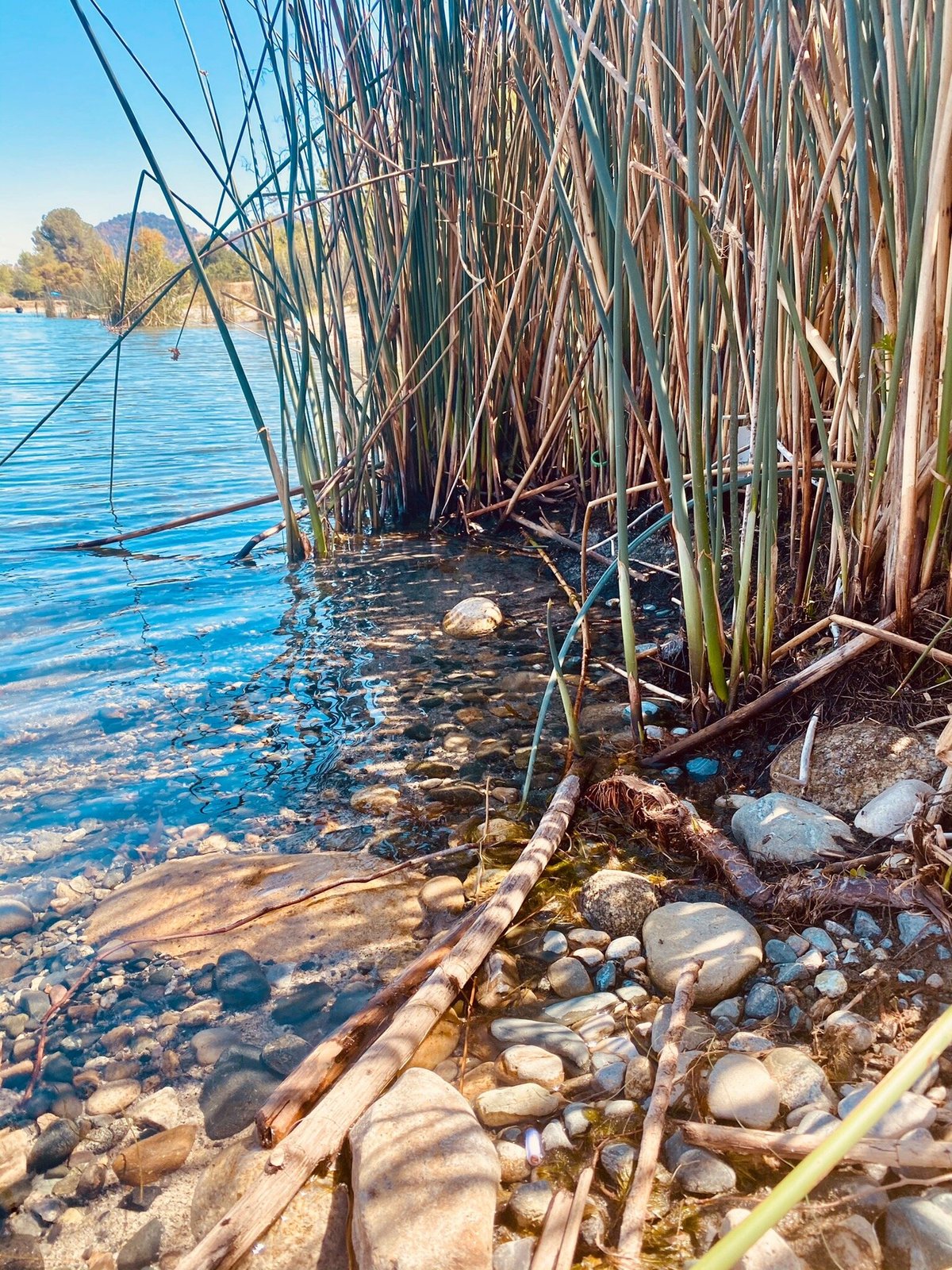 Avocado Lake Park (Fresno): All You Need to Know BEFORE You Go