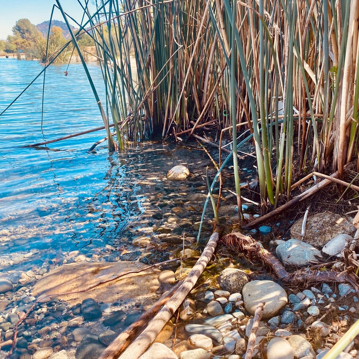 Avocado Lake Park (Fresno) - 2022 All You Need to Know BEFORE You Go ...