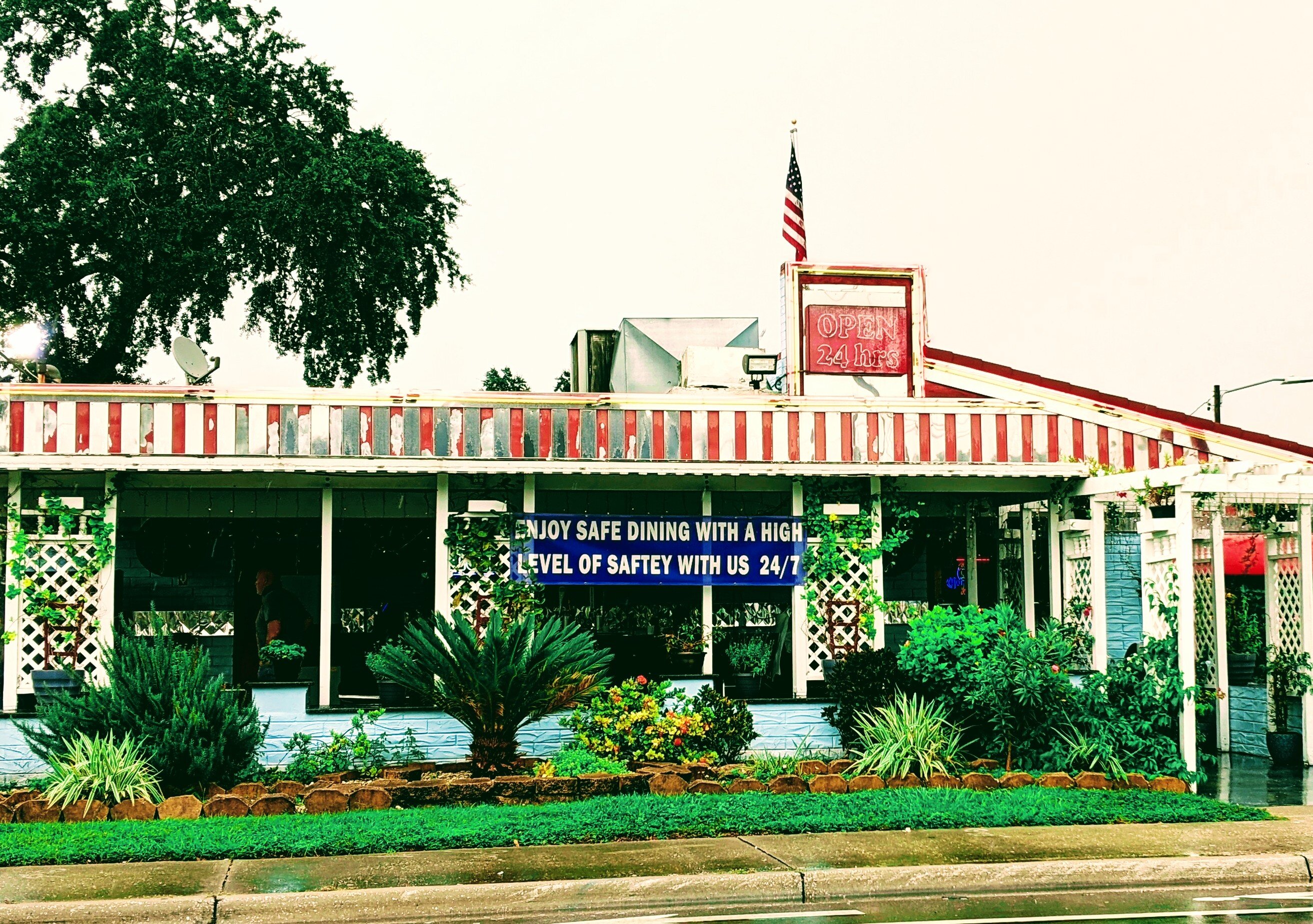 The American Diner: Witzel, Michael: 9780785829188: Amazon