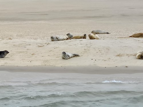 Terschelling review images
