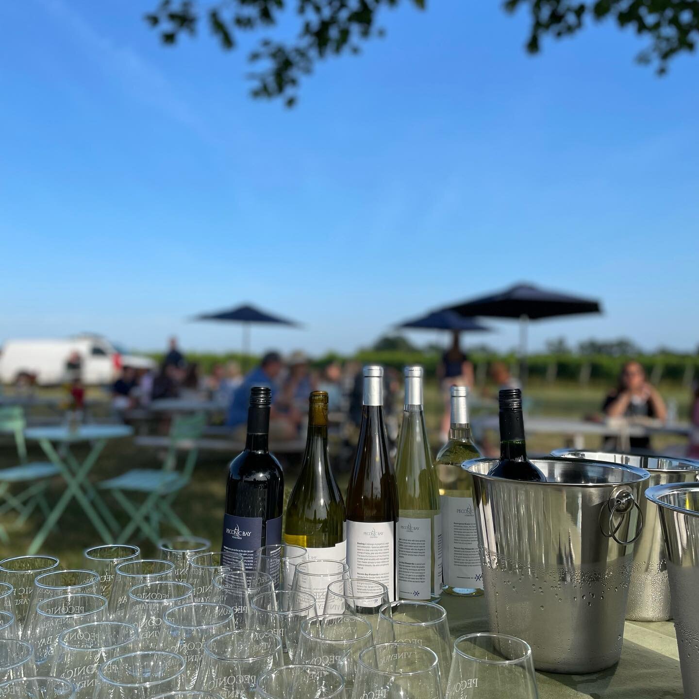 Peconic Bay Vineyards (Cutchogue) - All You Need To Know BEFORE You Go