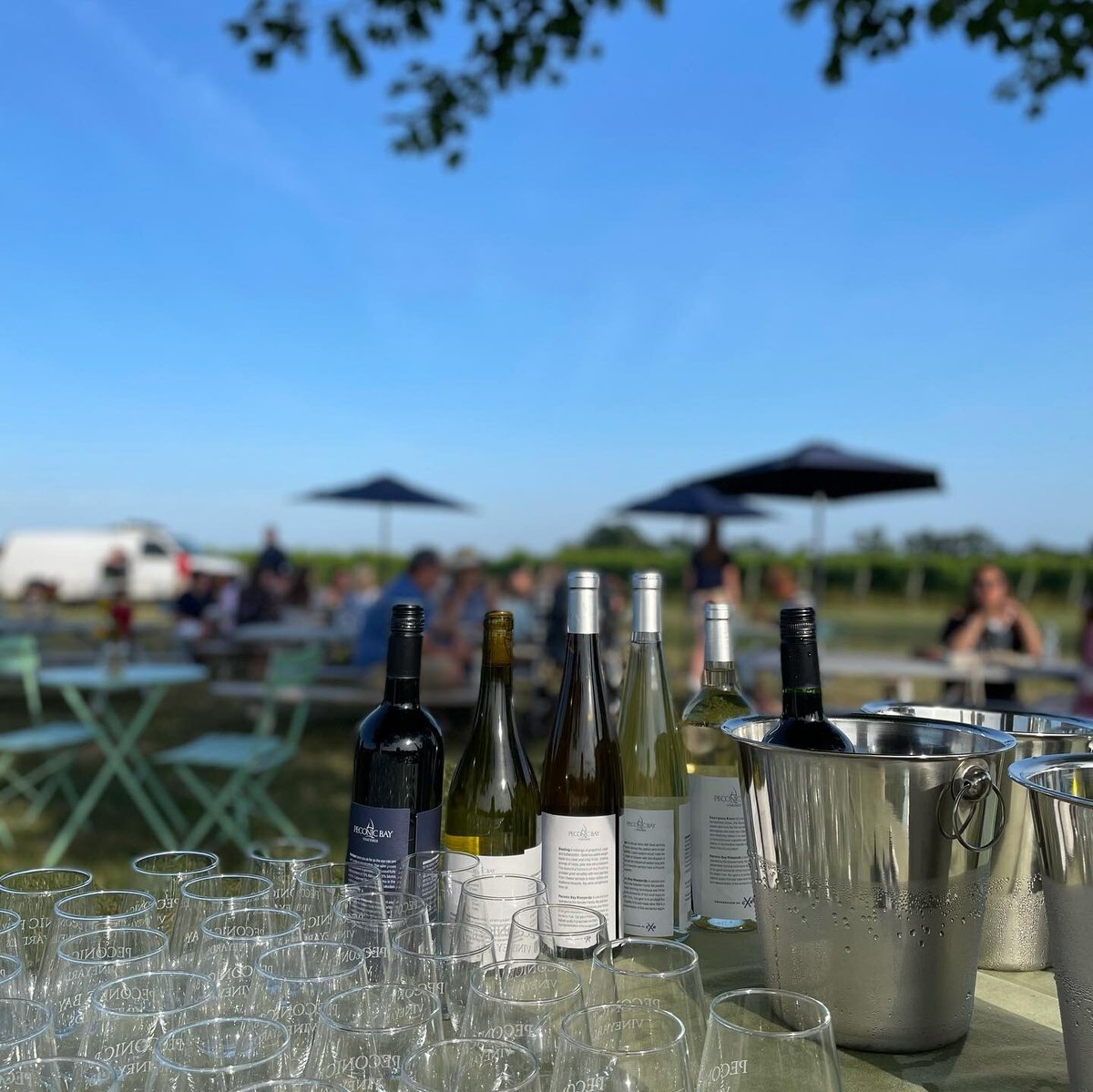 Peconic Bay Vineyards (Cutchogue): All You Need to Know