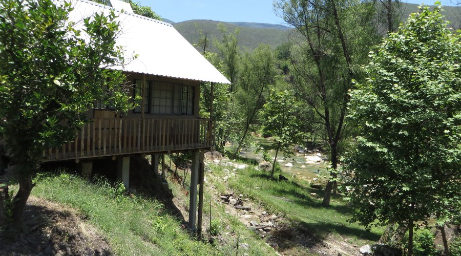 Campamento Los Sauces