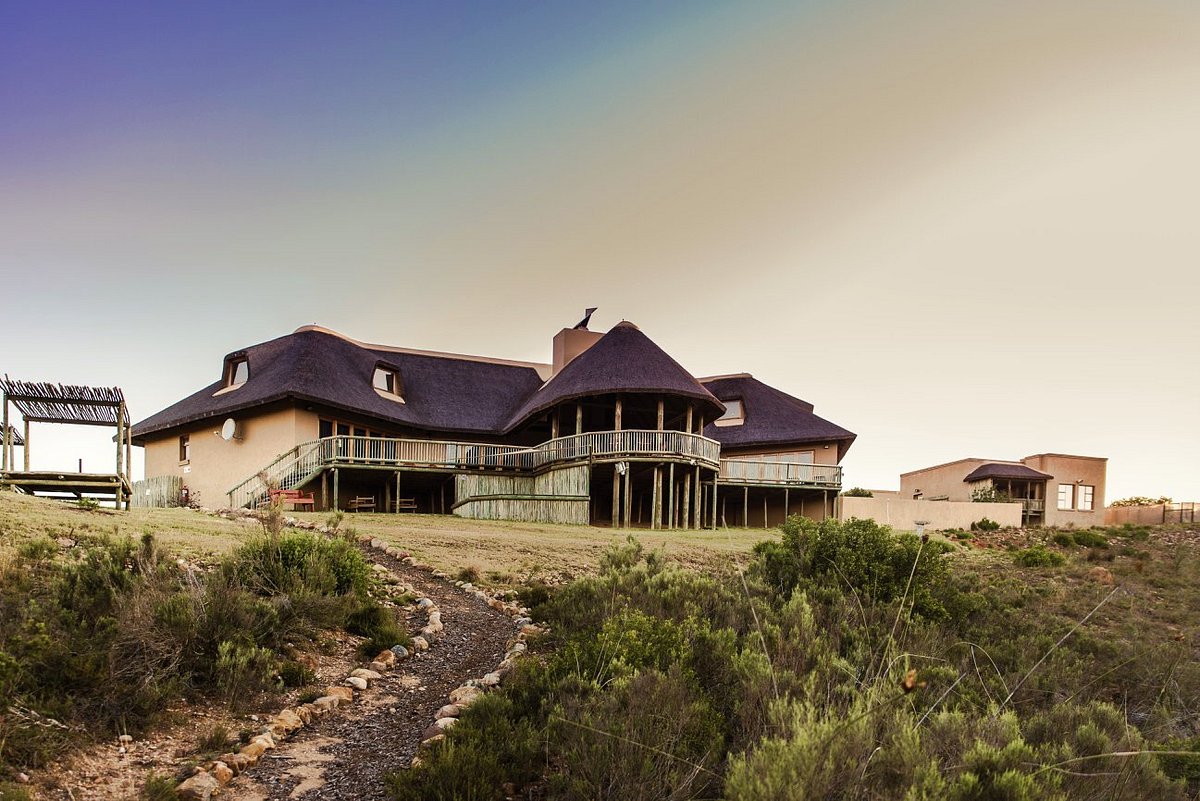 HARTENBOS PRIVATE GAME LODGE $135 ($̶1̶4̶3̶) - Updated 2024 Prices &  Reviews - South Africa