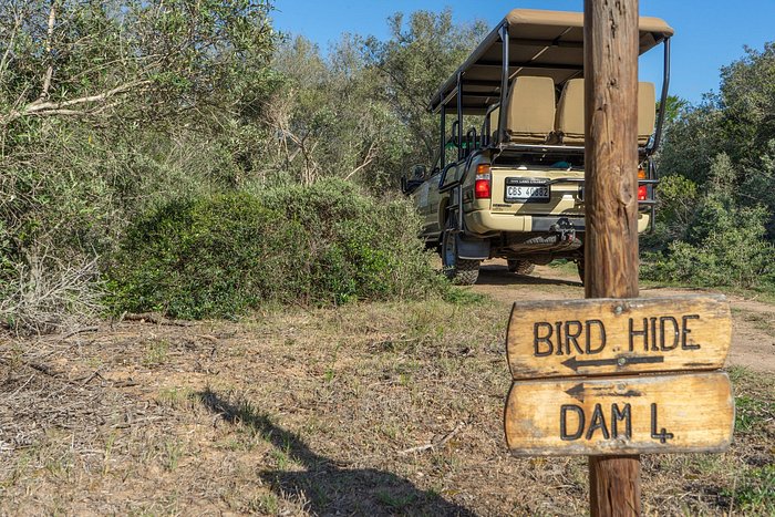 Wildlife Facts - Zebra - Hartenbos Private Game Lodge