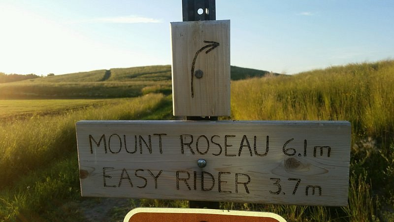 Mount Roseau image