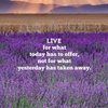 Wisewords1