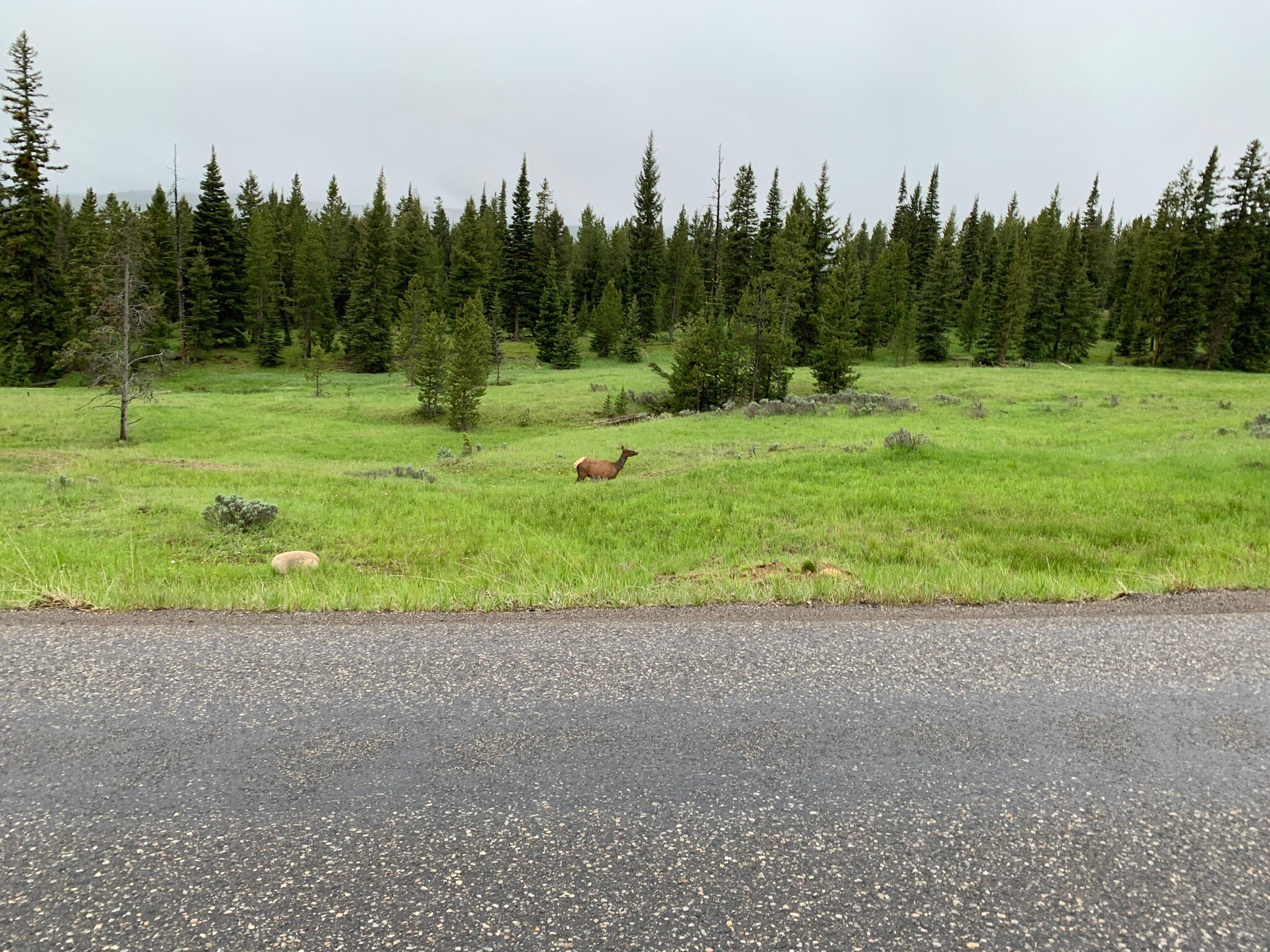 2022 Spanish Peaks   Caption 