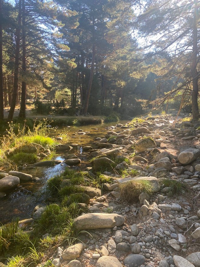 Imagen 24 de El Refugio de Gredos