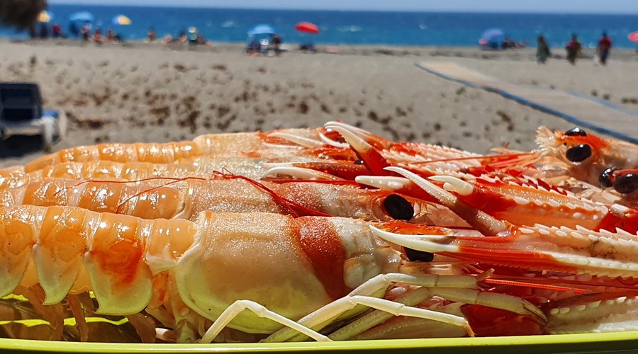 De paso por el chiringuito el farillo. 