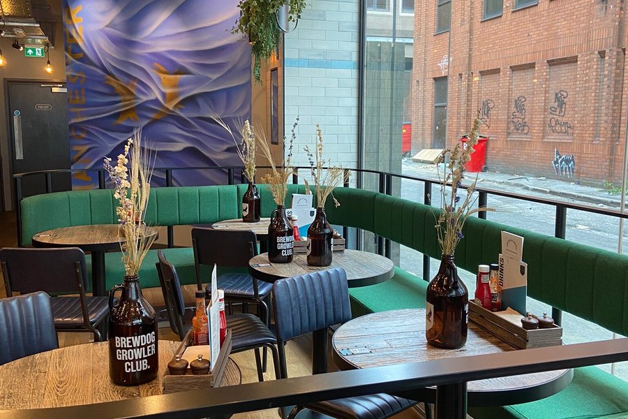 brewdog-doghouse-manchester-reino-unido-opiniones-comparaci-n-de