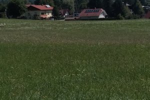 Viajante