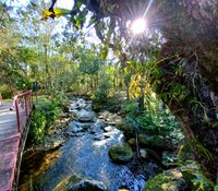 Fazenda Nova Gokula realiza Festival da Lua Dourada em Pinda