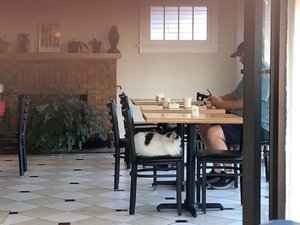 Salle à manger 