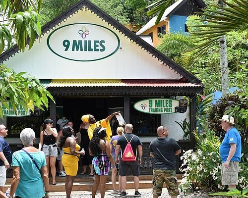 guided tours in jamaica
