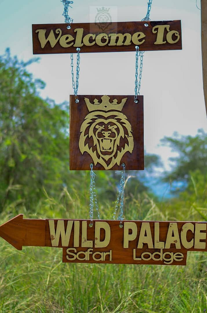 wild palace safari lodge