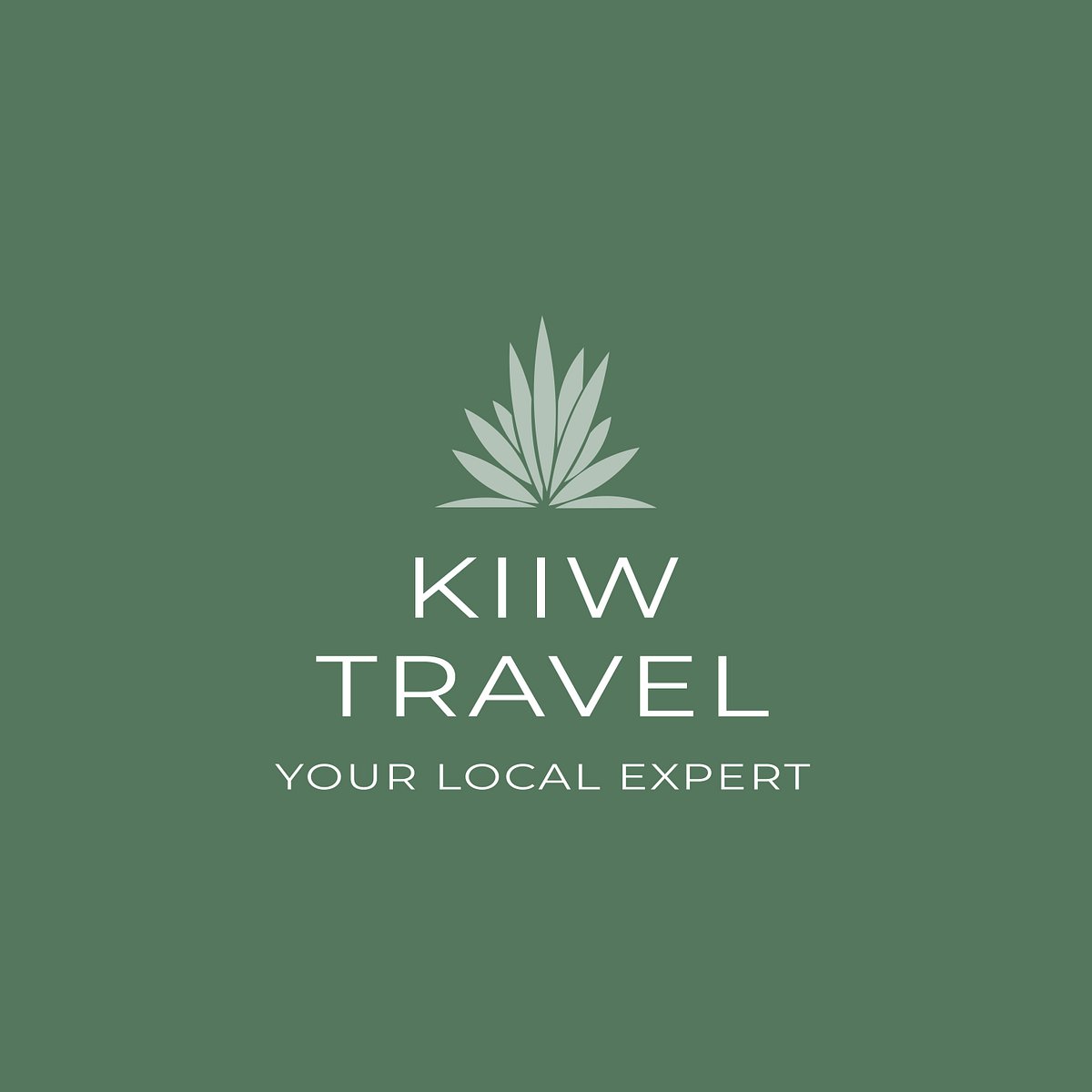 kiwi travel spain