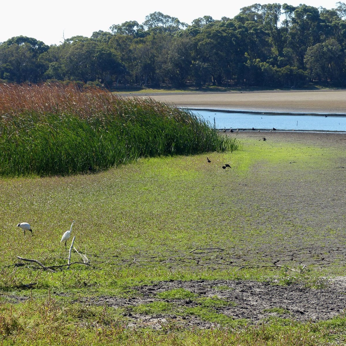 LAKE GWELUP RESERVE - 2022 What to Know BEFORE You Go