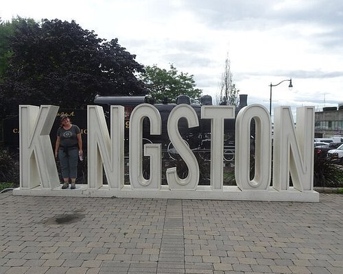 tour companies kingston
