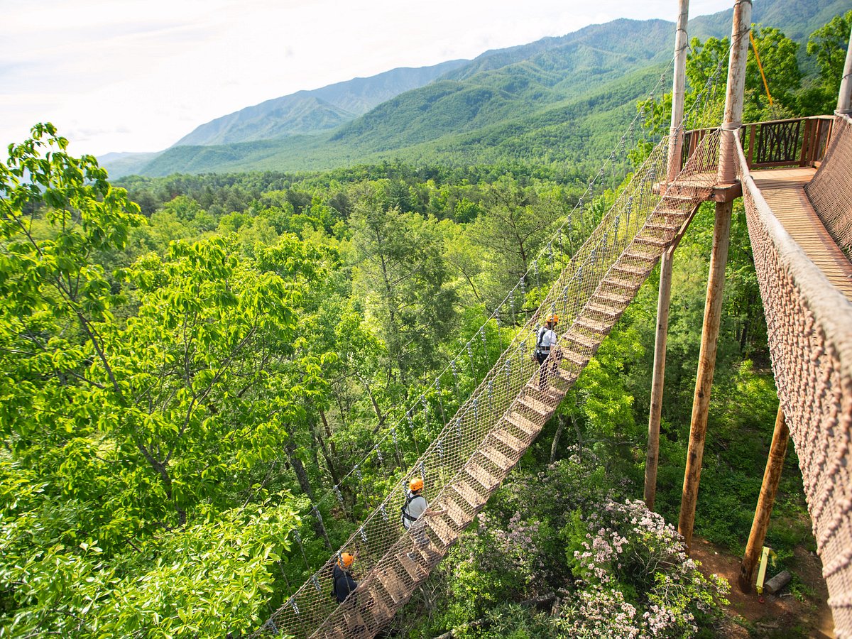 zipline tours gatlinburg