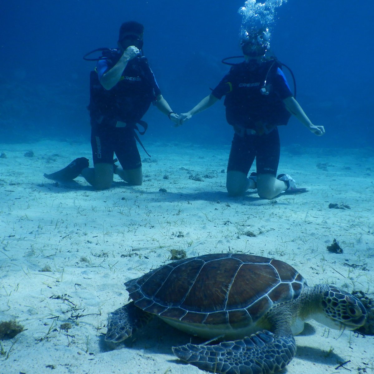 Айя Напа дайвинг центр Olympian Divers