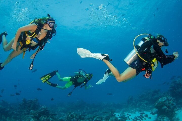 2024 Discover Scuba Diving Full-Day Experience for Everyone! No ...