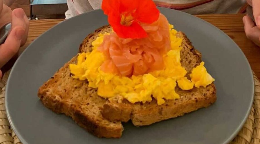 Salmon & Eggs