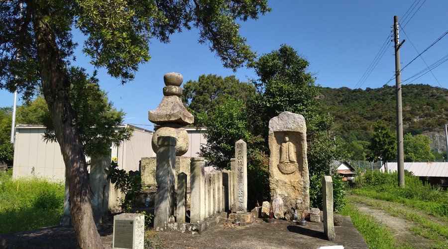 正面から