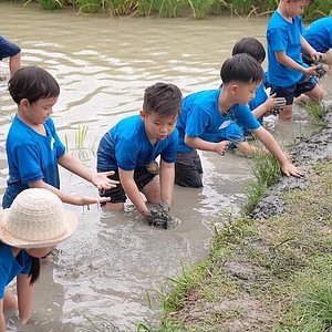 The 10 Best Things To Do In Pathum Thani Province 21 With Photos Tripadvisor Must See Attractions In Pathum Thani Province Thailand The 10 Best Things To Do In Pathum Thani Province 21 With Photos Tripadvisor Must See Attractions In Pathum Thani Province Thailand