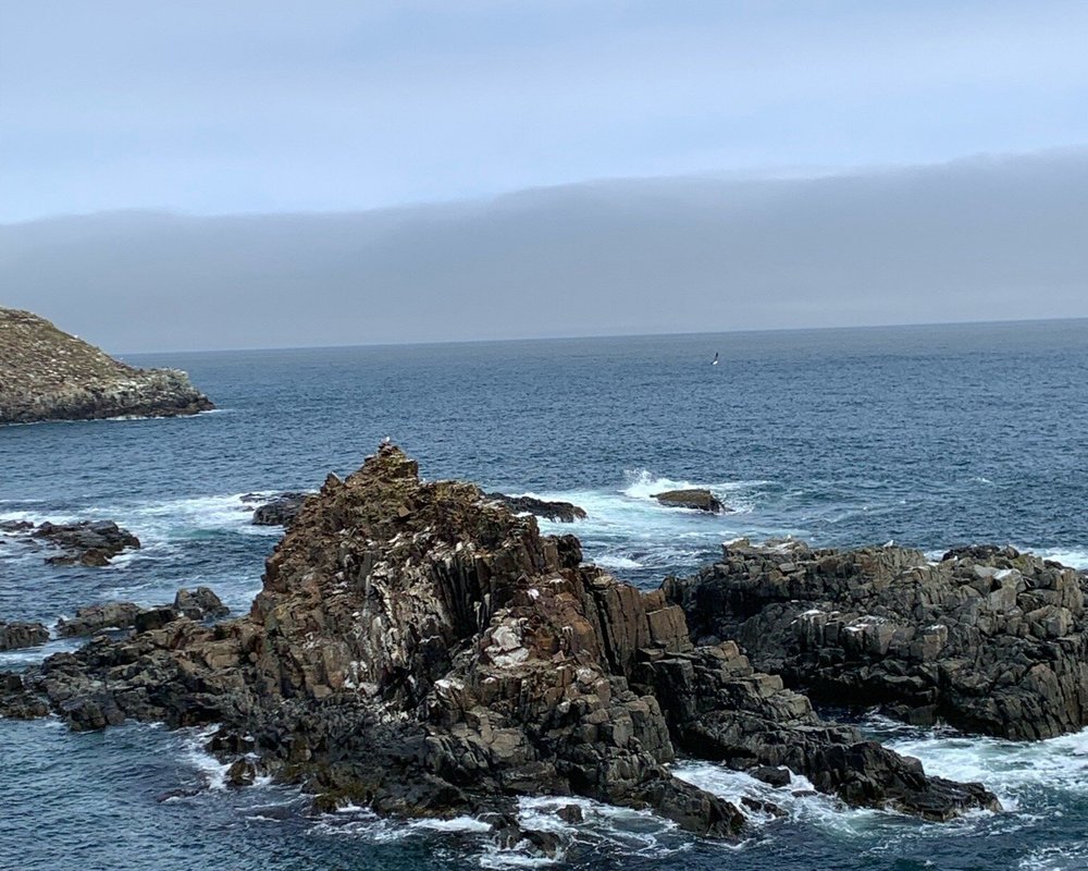 THE 15 BEST Things to Do in Bonavista (Updated 2023)