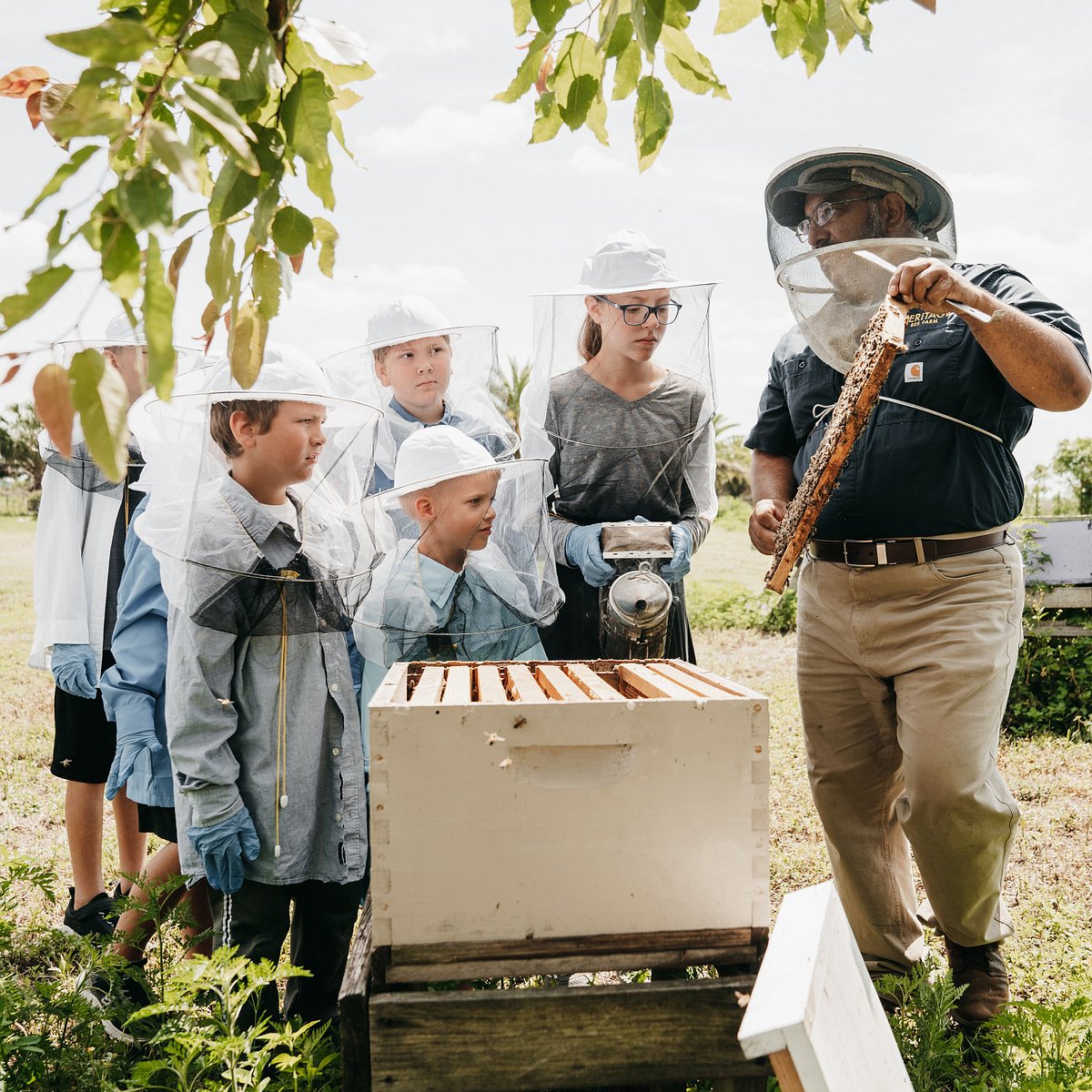 The Bee Farm