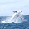 Getaway Sailing on the Gold Coast